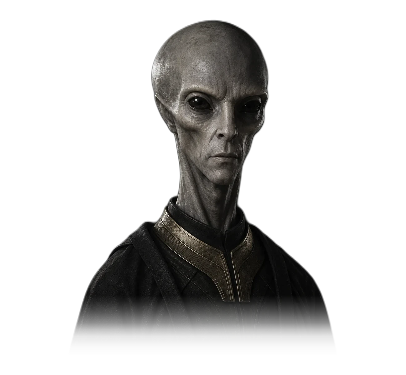 ALIENZ art study of the Standard / Classic Grey form.