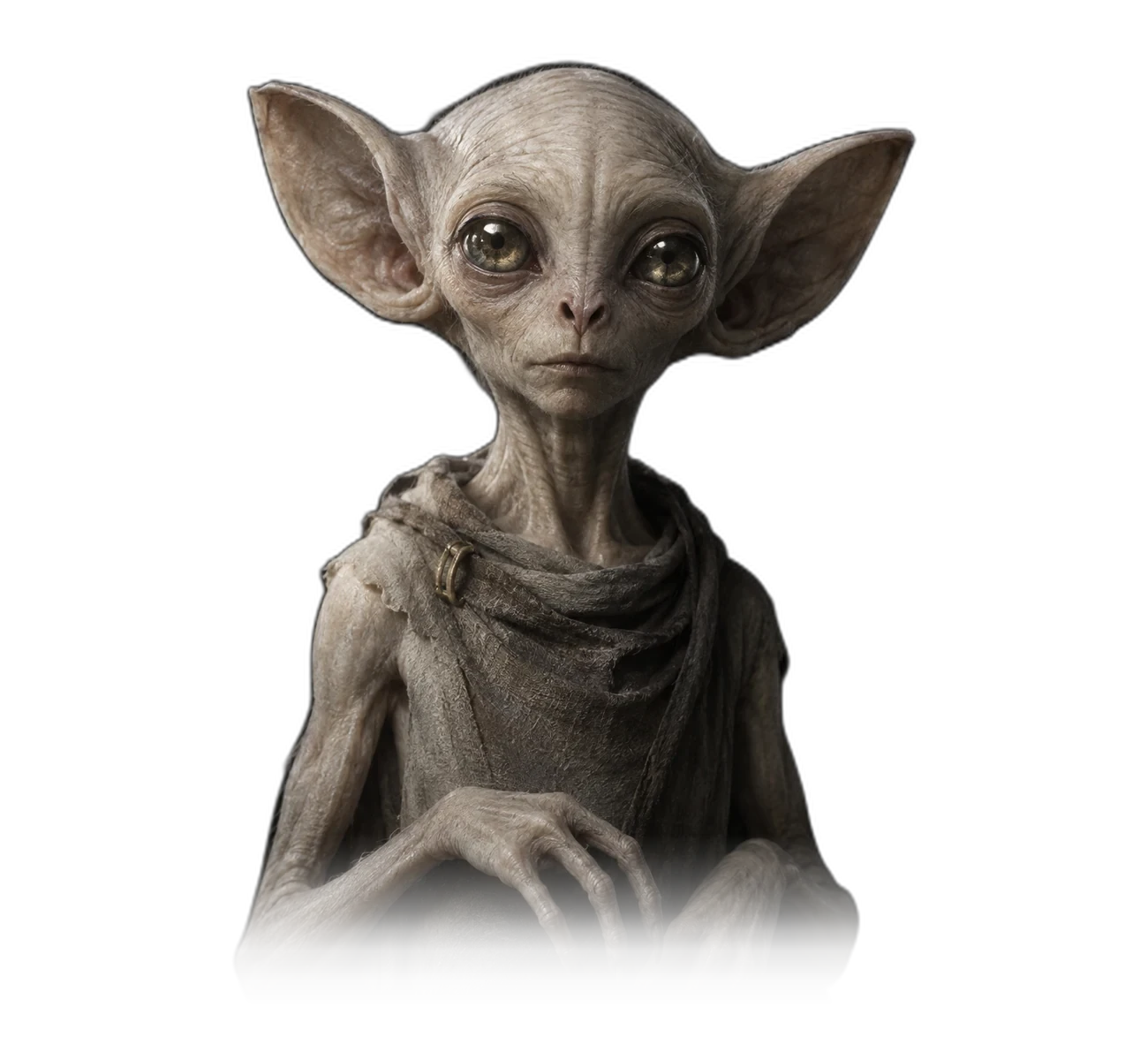 ALIENZ art study of the Kelly-Hopkinsville Large-Eared Figure form.