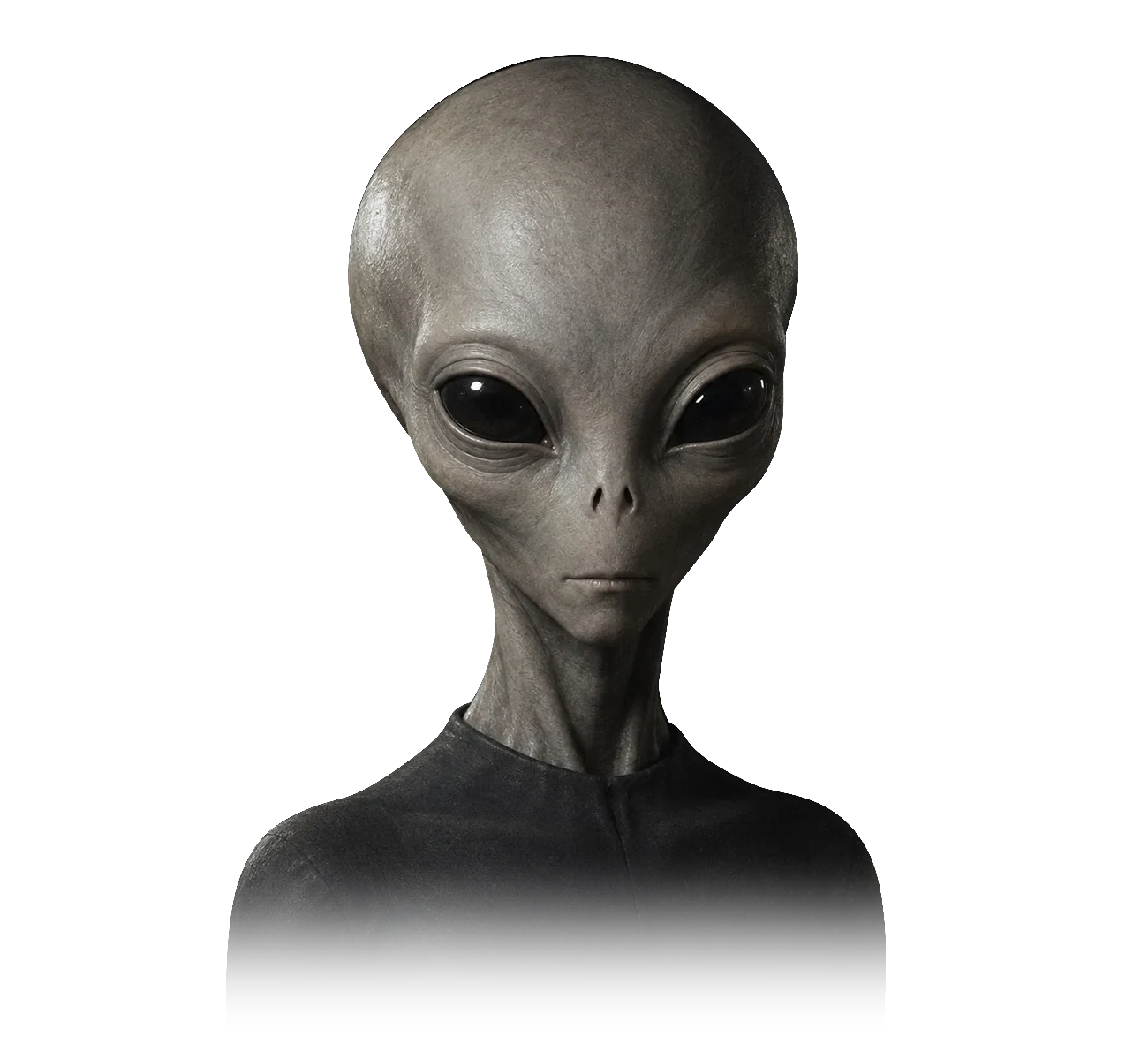 ALIENZ art study of the Short Grey form.