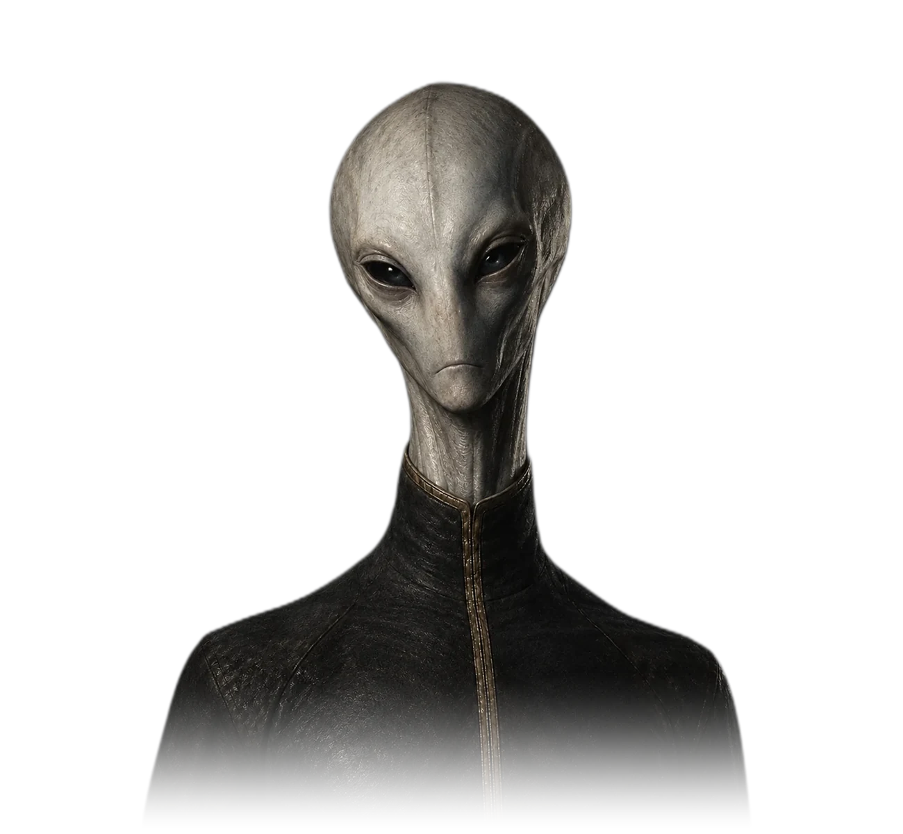 ALIENZ hyperrealistic Tall Grey art study with an elongated cranium and narrow face.